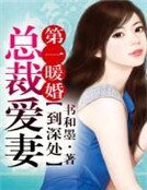 第一暖婚,總裁愛妻到深處