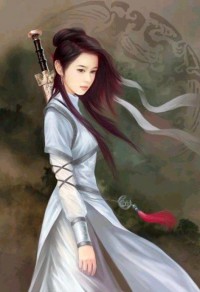 網遊之霸王傳説